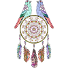 dream catcher and birds