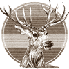 Cerf