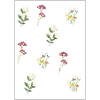 flowerpower