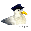 Seagull "Shit happens."