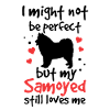 Samoyed is not perfect Samojedenspitz