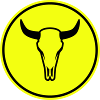 Cow Bull Skull