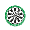 Fléchettes Fléchettes Dartboard Lancer Flèche