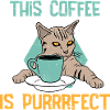 Cats Kitten Coffee Pet