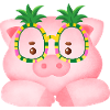 Cute Pig
