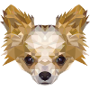 Chihuahua "Buddy" - Dog - Pooch - Dog