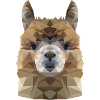 Alpaca Polygon