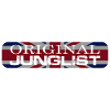 Original Junglist Drum and Bass DnB 90s UK Remix