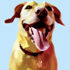Photoréalisme de chien mignon