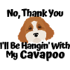 Hanging With My Cavapoo