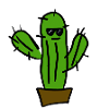 Cool cactus