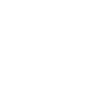 Caméléon Comic Animal