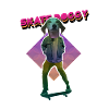 SKATER DOG