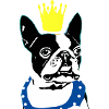 Queen Boston