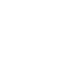 Lightning Lightning Icon