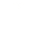 Shih Tzu Dog Heartbeat