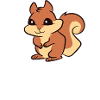 Écureuil - Squirrel Squad