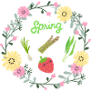 Spring