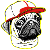 Pug Life