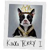 King Terry I