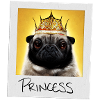 Princesse