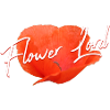 Coquelicot Coquelicot Fleuriste