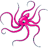 Oktopus lila