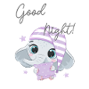 Gute Nacht !