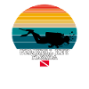 Brickell Key US Island Diving