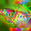 Beautiful, rainbow holographic effect butterfly