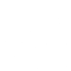 Mandolin Official Musical Instrument...