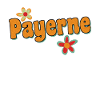 Payerne Hippie Fleurs