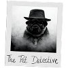 The Pet Detective
