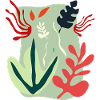 Algue