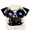 Stars in Pug's Eyes