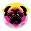 Bubble Pug