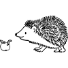 Igel mit Apfel - Hintergrund weiss