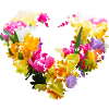 blumenherz,herz,blumen,foto,bunte blumen