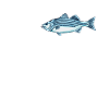 Dear Striped Perch