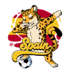 Spain Football