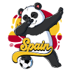 Spain Football