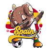 Spain Football