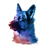 German Shepherd,Shepherd,Dog,Graffiti