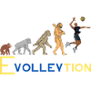 Evolution volley-ball