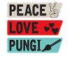 Peace Love Pungi Musical Instrument