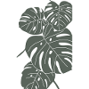 Monstera digital Art green/white