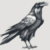 Corbeau peint