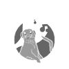 Ein Leben ohne Erdmännchen