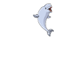 Beluga Whale Lovers