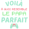Papa Geek